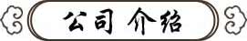 公司介绍